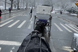 Empire State Paardenkoetsritten in Central Park sinds 1935