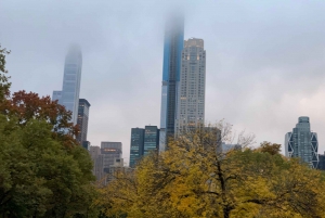 Paseos en carruajes tirados por caballos por el Empire State en Central Park desde 1935