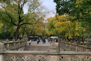 Passeios de carruagem do Empire State Horse no Central Park desde 1935