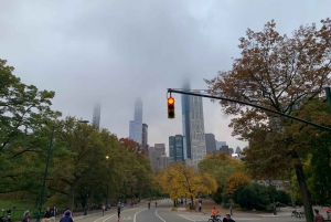 Promenades en calèche dans l'Empire State à Central Park depuis 1935