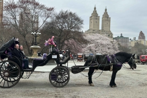 Empire State Pferdekutschenfahrten im Central Park seit 1935