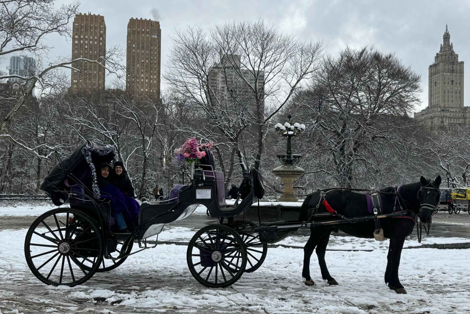 NYC: Køretur med Empire State Horses-vogn i Central Park