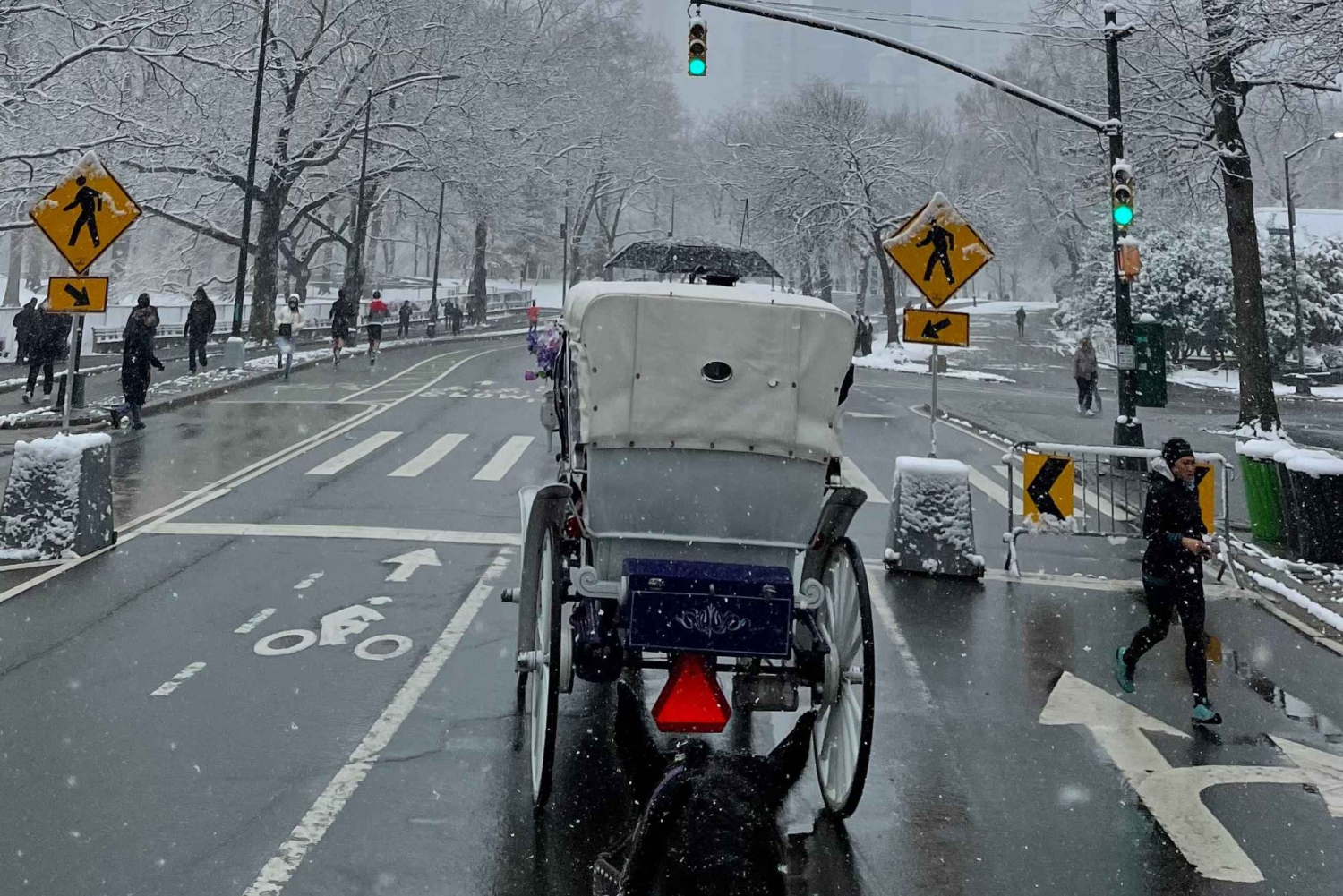 NYC: Køretur med Empire State Horses-vogn i Central Park
