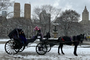 NYC: Køretur med Empire State Horses-vogn i Central Park