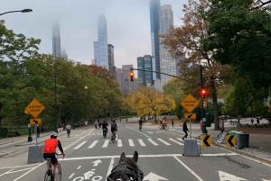 NYC: Køretur med Empire State Horses-vogn i Central Park