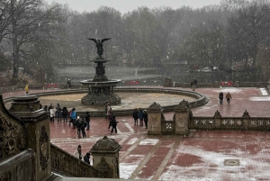 NYC: Køretur med Empire State Horses-vogn i Central Park