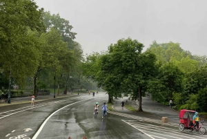 NYC: Køretur med Empire State Horses-vogn i Central Park