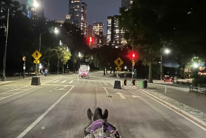 NYC: Køretur med Empire State Horses-vogn i Central Park