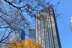 NYC: Køretur med Empire State Horses-vogn i Central Park