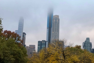 NYC: Køretur med Empire State Horses-vogn i Central Park