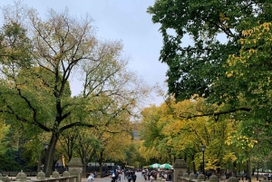 NYC: Køretur med Empire State Horses-vogn i Central Park