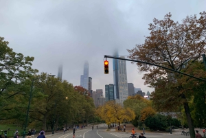 NYC: Køretur med Empire State Horses-vogn i Central Park