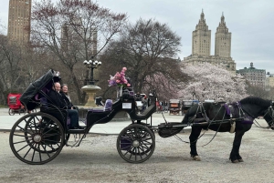 NYC: Køretur med Empire State Horses-vogn i Central Park