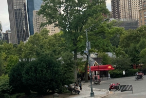 NYC: Køretur med Empire State Horses-vogn i Central Park