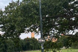 NYC: Køretur med Empire State Horses-vogn i Central Park