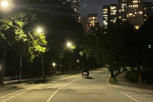 NYC: Køretur med Empire State Horses-vogn i Central Park