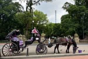 NYC: Køretur med Empire State Horses-vogn i Central Park