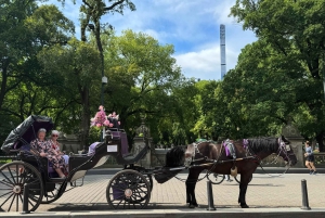 NYC: Køretur med Empire State Horses-vogn i Central Park