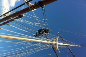 NYC: Epic Tall Ship Craft Beer Sail met kreeftoptie