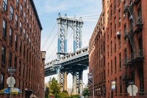 NYC: Manhattan, Bronx, Brooklyn ja Queens Opastettu bussikierros