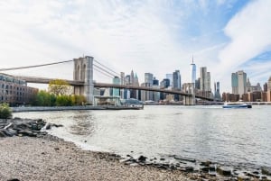 NYC: Manhattan, Bronx, Brooklyn og Queens guidet tur i bus