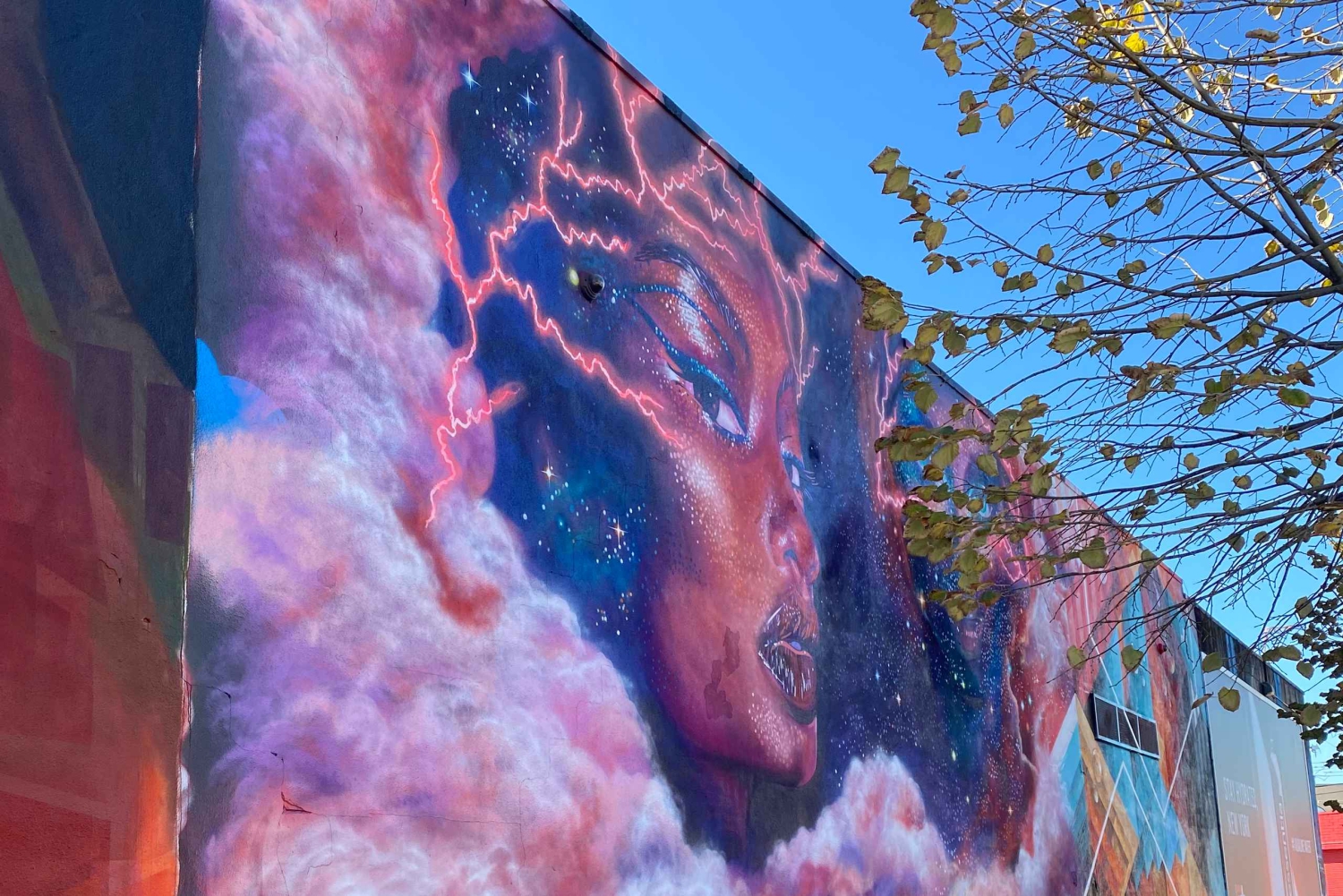 NYC | Ranskalainen opastettu kierros Bushwick & Williamsburg