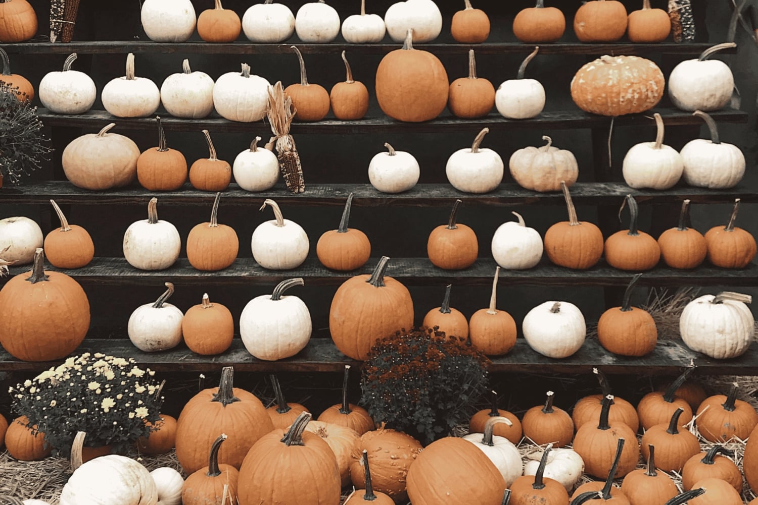 NYC | Tour guidato in francese di Halloween nel Greenwich Village