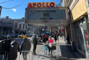 NYC | Francuska wycieczka z przewodnikiem Harlem i Uniwersytet Columbia