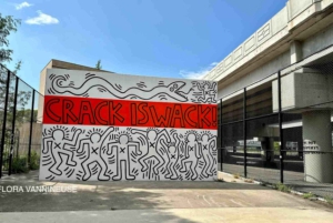 NYC | Französische Führung Hip-Hop in East Harlem & Bronx