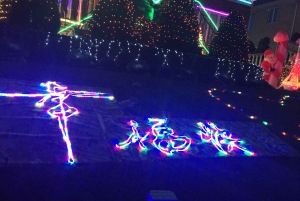 NYC | Fransk omvisning i julen i Brooklyn