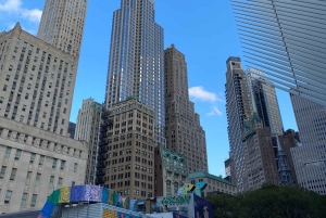 NYC | tour guiado en francés Sur de Manhattan