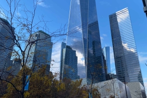 NYC | tour guiado en francés Sur de Manhattan