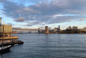 NYC | tour guiado en francés Sur de Manhattan