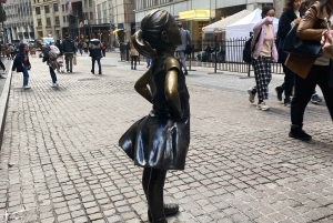 NYC | tour guiado en francés Sur de Manhattan