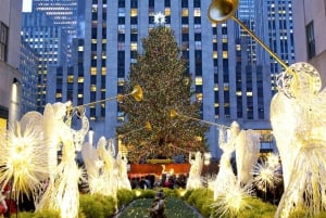 NYC: Tour panoramico della città di un giorno intero con servizio di prelievo in hotel