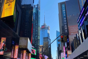 NYC: Tour guidato di un giorno intero delle principali attrazioni di New York City