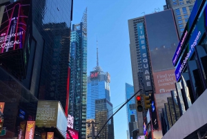 NUEVA YORK: Visita guiada de un día completo por las principales atracciones de Nueva York