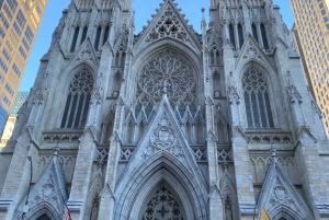 NYC: Tour guidato di un giorno intero delle principali attrazioni di New York City