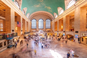 NYC: Tour guidato di un giorno intero delle principali attrazioni di New York City