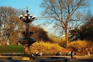 NYC: Gossip Girl Central Park Tour with Heated Rickshaw