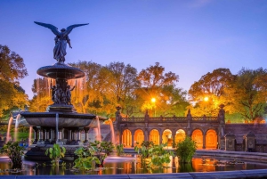 NYC: Gossip Girl Central Park VIP Tour