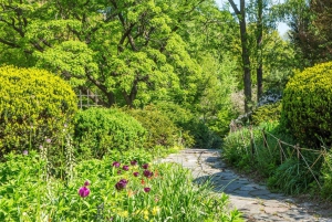 NYC: Gossip Girl Central Park VIP-tour