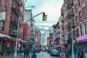 NYC: tour di Greenwich, SoHo, Little Italy e Chinatown