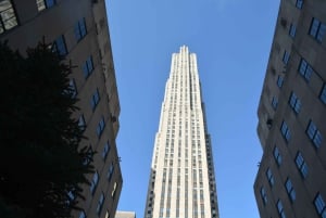 NYC : Visite guidée en bus et à pied avec le Staten Island Ferry