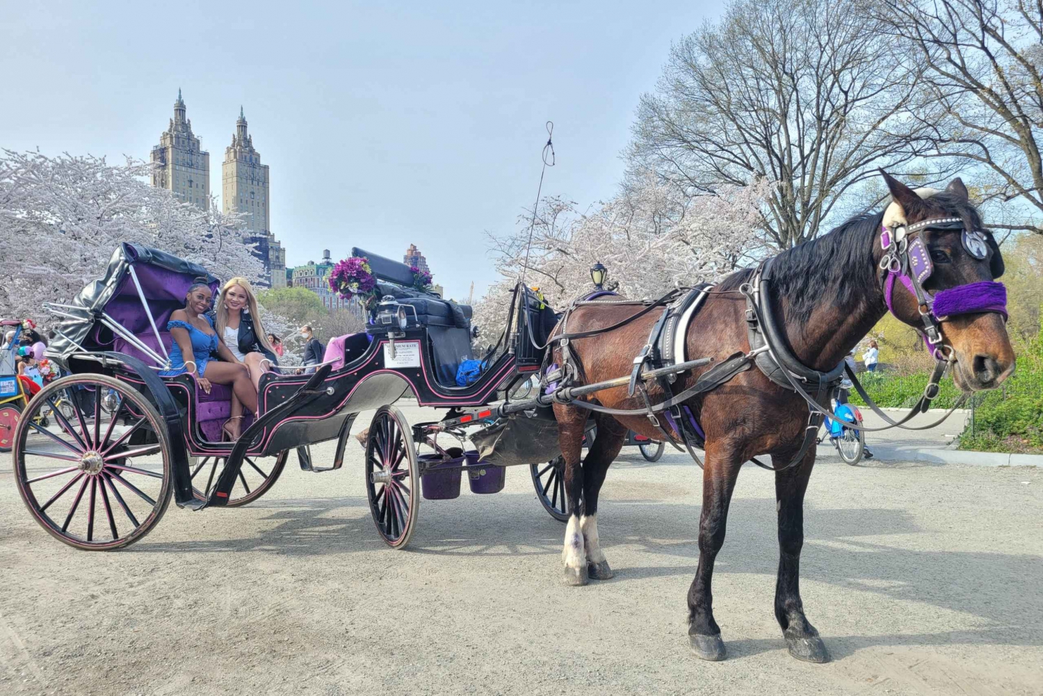 Taking-a-Carriage-Ride-through-Central-Park