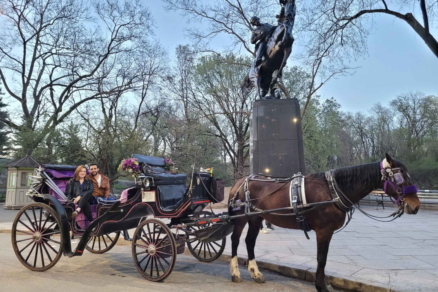 NYC: Guided Central Park Horse Carriage Ride