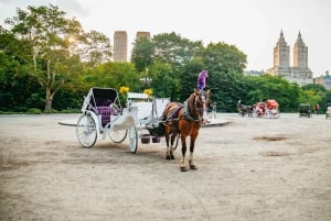 NYC: Guided Central Park Horse Carriage Ride