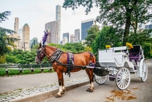 NYC: Guided Central Park Horse Carriage Ride