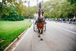 NYC: Guided Central Park Horse Carriage Ride