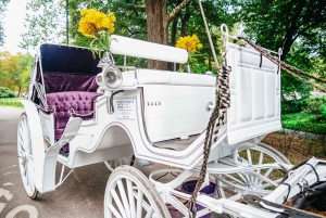 NYC: Guided Central Park Horse Carriage Ride